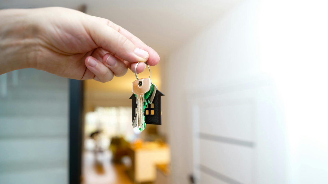 Immobilienvermietung